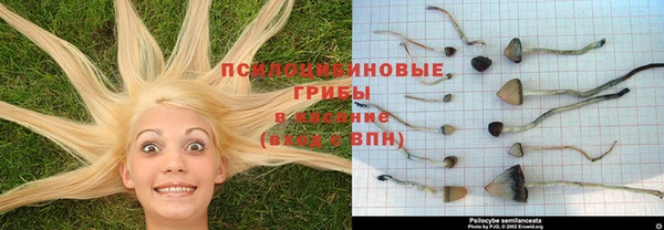 спиды Бугульма