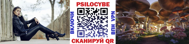 продажа наркотиков  Нерюнгри  Псилоцибиновые грибы Psilocybine cubensis 