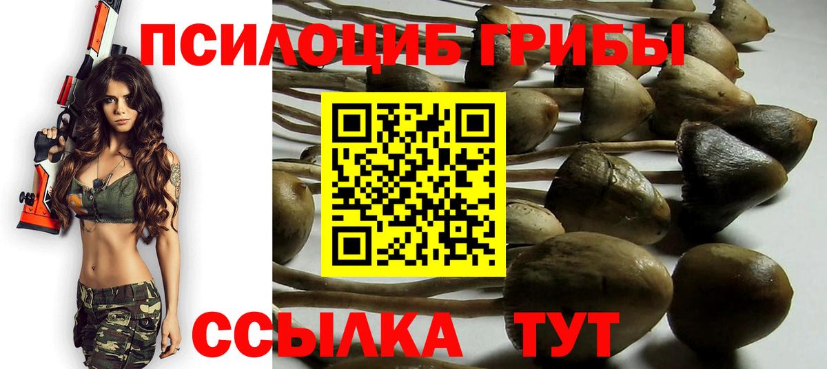 Нерюнгри  Лсд 25  А ПВП СК кристаллы  МЕТ  ГАШИШ  MDMA  Вход с VPN  Конопля  Меф кристаллы  Героин  Меф 